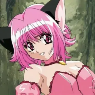 😣 Anime, Katzenmädchen, Pinke Haare, Manga, Charakter whatsapp sticker