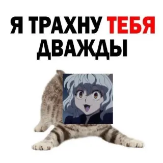 🧊 Я ТРАХНУ ТЕБЯ ДВАЖДЫ cat, anime, offensive, meme telegram sticker