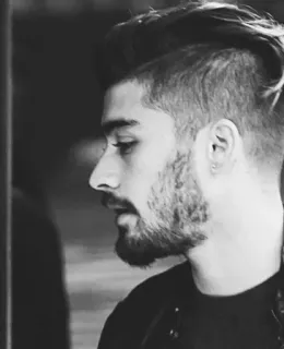 😏 Zayn Malik celebrity, singer, black and white, portrait, man telegram sticker