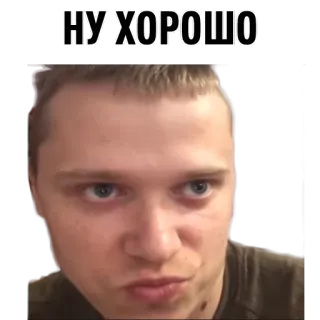 🙂 НУ ХОРОШО mann, gesicht, russisch, ok, porträt, ausdruck whatsapp sticker