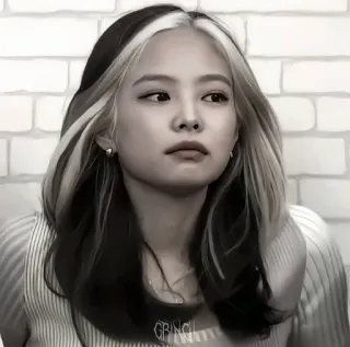 ✨ GRINCH persona, retrato, celebridad, blackpink, k-pop, jennie telegram sticker