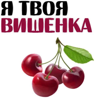 😍 Я ТВОЯ ВИШЕНКА cereja, cerejas, fruta, vermelho, russo, doce telegram sticker