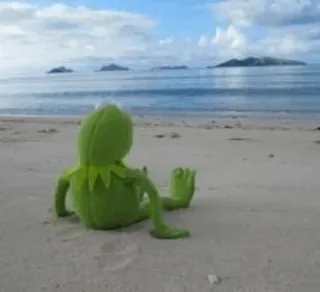 😞 Kermit Kermit the Frog, puppet, beach, ocean, sand, vacation, relaxing, green telegram sticker