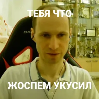 🐍 ТЕБЯ ЧТО:
ЖОСПЕМ УКУСИЛ telegram sticker