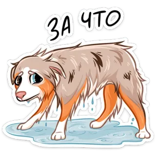 ⏺ ЗА ЧТО собака, грустный, плачет, русский, стикер, мультфильм telegram sticker