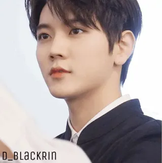 ✨ D_BLACKRIN person, porträt, mann, promi, koreanisch telegram sticker