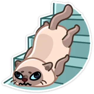 😕 кот, лестница, животное, смешной, милый, мем telegram sticker
