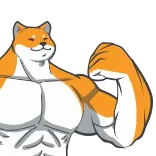 💪 doge, shiba inu, músculo, meme, fuerte, divertido, animal, perro telegram sticker