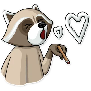 😘 szop pracz, cygaro, palenie, zwierzę, kreskówka, serce, dym telegram sticker