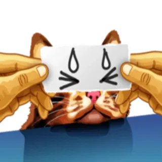 😥 кот, стикер, мем, смешной, животное, рисунок whatsapp sticker