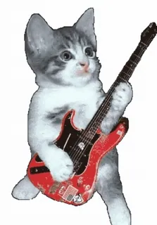 💃 Katze, Gitarre, Musik, Tier, Kätzchen telegram sticker