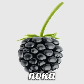 👋 пока 블랙베리, 과일, 음식, 잘 가, 러시아어, 인사 telegram sticker
