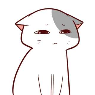 😔 mèo, buồn, động vật, nhãn dán, hoạt hình, dễ thương, thú cưng telegram sticker