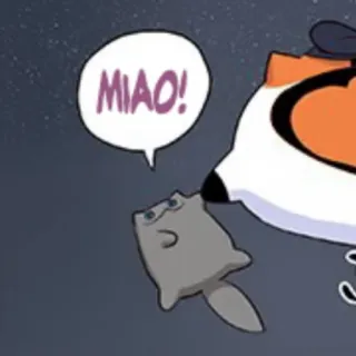 🐈 MIAO! kot, zwierzę, zwierzak, słodki, miau telegram sticker