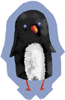 👌 penguin, bird, animal, cute, winter, antarctica telegram sticker