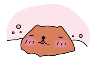 🤩 urso, fofo, animal, desenho animado, kawaii, adesivo telegram sticker
