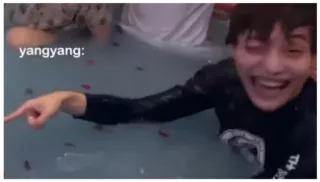 😂 YangYang yangyang: person, pool, wasser telegram sticker