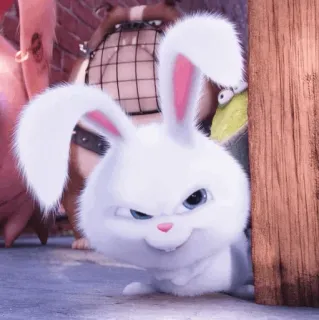 ☁️ Snowball The Secret Life of Pets coniglio, cartone animato, animale, carino, animale domestico, animato, bunny whatsapp sticker