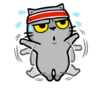 🏃 Katze, Sport, Schweiß, Cartoon, Lustig, Training telegram sticker