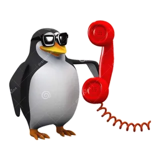 📞 chim cánh cụt, điện thoại, kính, hoạt hình telegram sticker