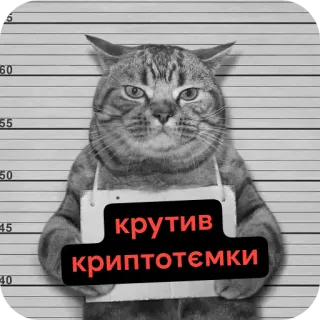 🐱 крутив криптотёмки telegram sticker