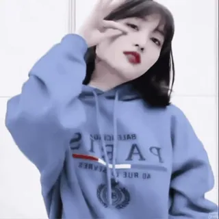 🍑 PARIS frau, hoodie, paris, mode, porträt, selfie telegram sticker