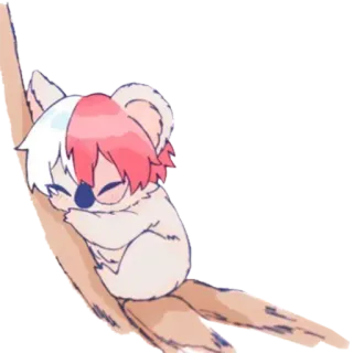 😴 Todoroki Shoto My Hero Academia Anime, Koala, Todoroki, Shoto, My Hero Academia, Kartun whatsapp sticker