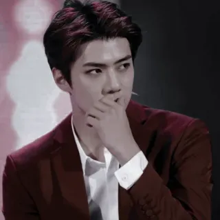 🕸 Sehun kpop, exo, sehun, singer, celebrity, man, portrait telegram sticker