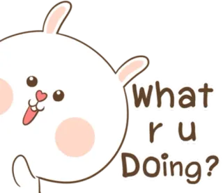 🐽 what r u Doing? królik, słodki, pytanie, uroczy telegram sticker