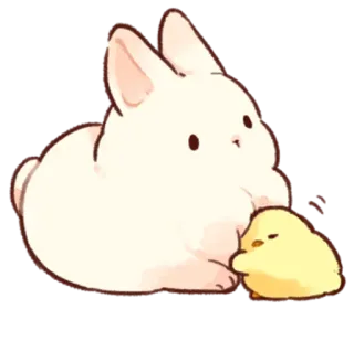 ❤️ bunny, rabbit, chick, animal, cute, friendship telegram sticker