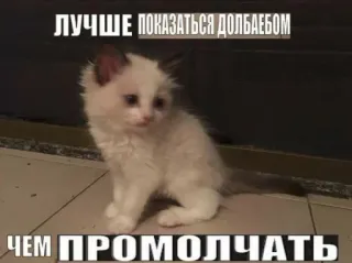 🤪 ЛУЧШЕ ПОКАЗАТЬСЯ ДОЛБАЕБОМ
ЧЕМ ПРОМОЛЧАТЬ chaton, chat, russe, texte, mignon, mème telegram sticker
