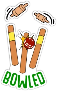 👆 BOWLED cricket, sports, wicket, bowled, sport telegram sticker