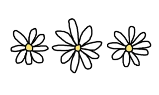 🌻 flower, daisy, floral, white, yellow telegram sticker