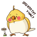 😀 uccello, giallo, carino, kawaii, fiore, cartone animato whatsapp sticker