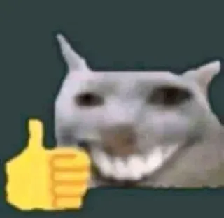 👍 猫, 点赞, 梗, 动物, 积极, 赞同 telegram sticker