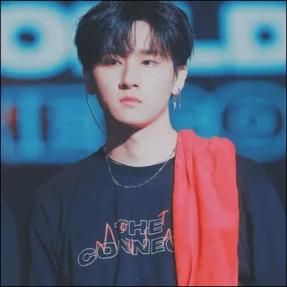 🍂 THE CONNECT kpop, monstax, shownu, the connect, zanger, idool telegram sticker
