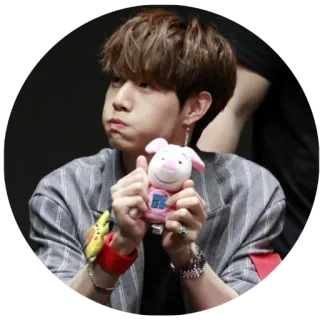 😠 homem, leitão, pelúcia, coreano, ídolo, fofo, posando telegram sticker