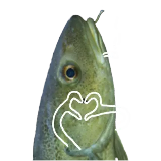 ❤️ fish, love, heart, animal, cute, cartoon whatsapp sticker