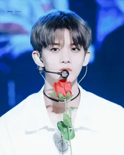 🌦 k-pop, singer, rose, man, entertainment, performer telegram sticker