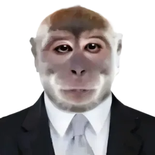👨‍⚖️ 원숭이, 정장, 동물, 웃긴, 밈 telegram sticker