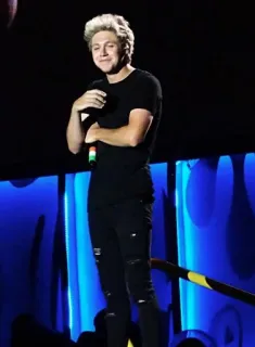 🎸 Niall Horan cantor, masculino, retrato, celebridade, música telegram sticker