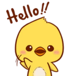 👋 Hello!! olá, cumprimento, frango, fofo, pássaro, animal telegram sticker