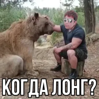 🐃 КОГДА ЛОНГ? медведь, мужчина, мем, русский, вопрос telegram sticker