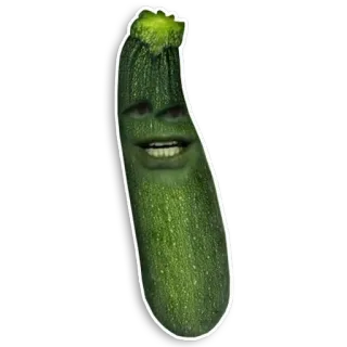 Annoying Orange whatsapp stickers