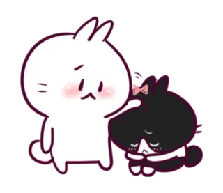 😇 Hase, Katze, süß, Aufkleber, Cartoon, Häschen, Animation telegram sticker