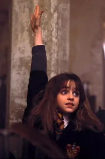 🦋 Hermione Granger Harry Potter magia, czarodziej, szkoła, młody, Harry Potter whatsapp sticker