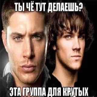 😎 Dean Winchester and Sam Winchester Supernatural ТЫ ЧЁ ТУТ ДЕЛАЕШЬ? ЭТА ГРУППА ДЛЯ КРУТЫХ telegram sticker
