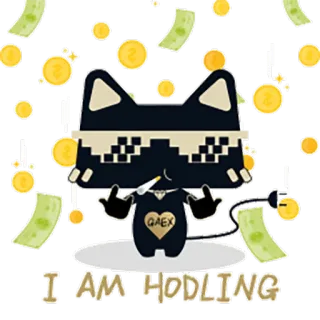 ✊️ I AM HODLING money, finance, investing, cat, hodling, cryptocurrency telegram sticker
