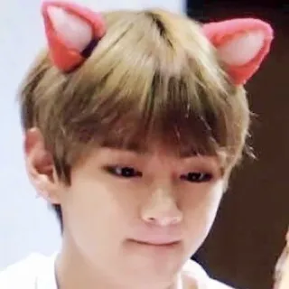 🐱 person, cat ears, male, portrait telegram sticker