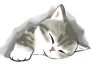 😴 gato, dormindo, fofo, animal de estimação, animal telegram sticker